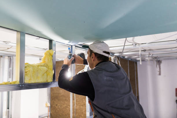 Best Insulation Installation Services in Adelino, NM