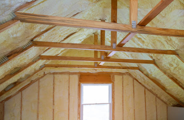 Best Residential Insulation in Adelino, NM